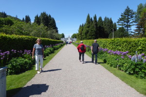 På hemresan stannade vi och besökte Norrvikens Trädgårdar.